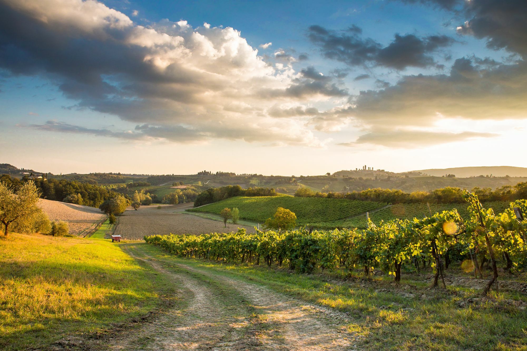 Appartamento Casaglia San Gimignano Exterior foto